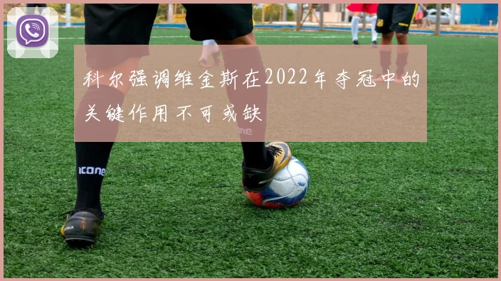 科尔强调维金斯在2022年夺冠中的关键作用不可或缺