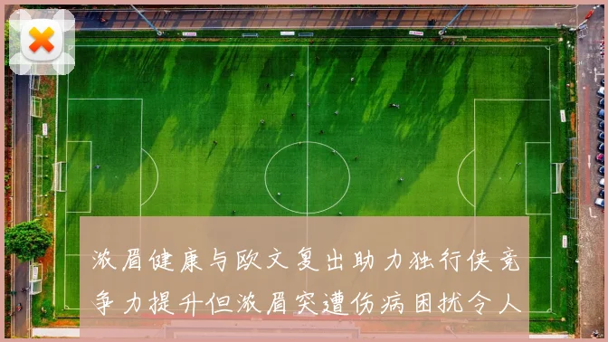 浓眉健康与欧文复出助力独行侠竞争力提升但浓眉突遭伤病困扰令人担忧