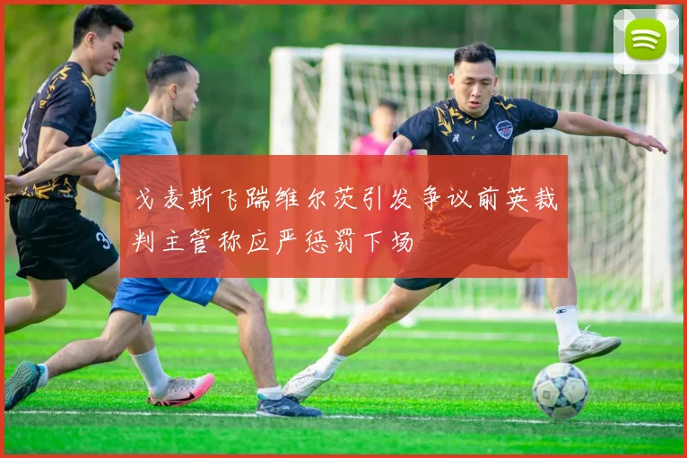 戈麦斯飞踹维尔茨引发争议前英裁判主管称应严惩罚下场