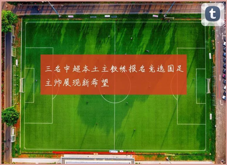 三名中超本土主教练报名竞选国足主帅展现新希望